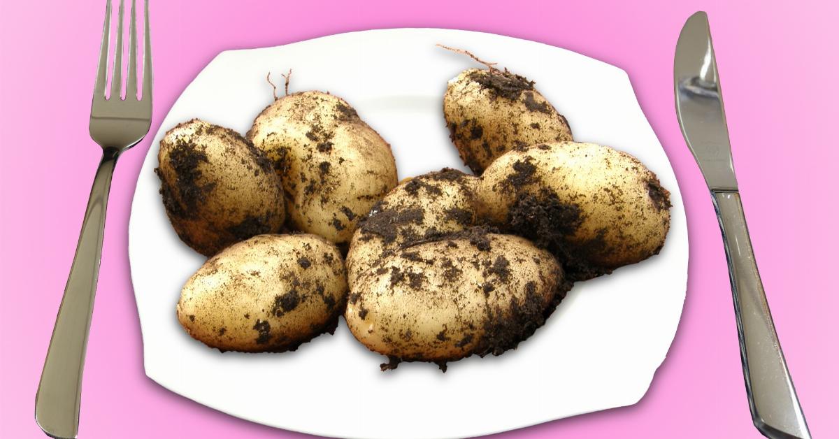 The 5 Tastiest Ways To Cook Potatoes