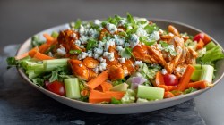 A Buffalo chicken salad in a shallow bowl with a blue cheese drizzle in frontal view with overhead lighting.