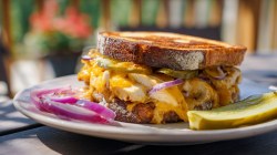A sourdough chicken melt on a plate with melted cheese and a slice of dill pickle and green onions on the side in full frontal view and bright lighting.